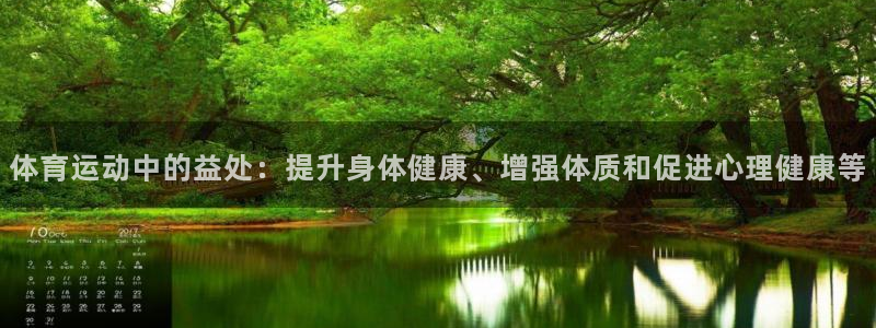 c666体育