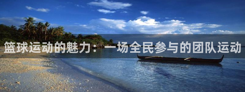 v66体育是真是假：篮球运动的魅力：一场全民参与的团队运动