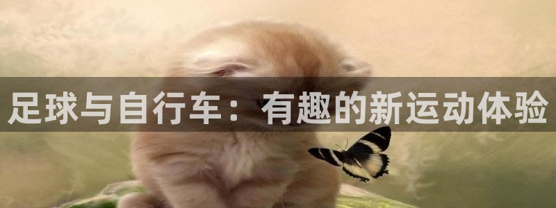 v66体育官网入口