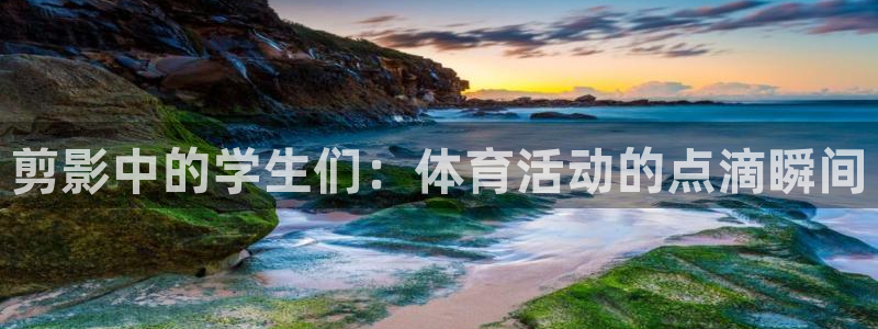 z66体育平台是正规的吗：剪影中的学生们：体育活动的点滴瞬间